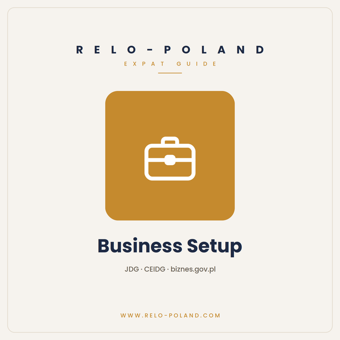 Business setup guide (CEIDG)